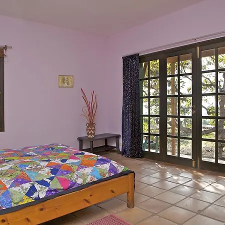 Casa Finca Avocado Los Llanos De Aridane Esterno foto