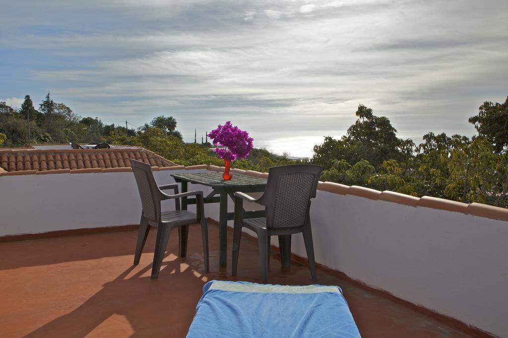 Casa Avocado *